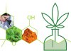 Growing Analytical Solutions for Cannabis Testing