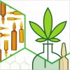 Terpenes Standards for Medical Cannabis Analysis